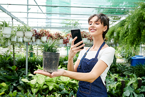Cheerful pretty greenhouse worker holding pot with small plant and taking photo on smartphone