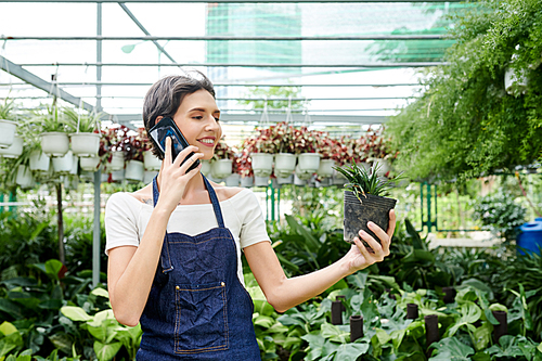 Pretty young woman working in hothouse, she is holding small pot with flower and talking on phone with customer