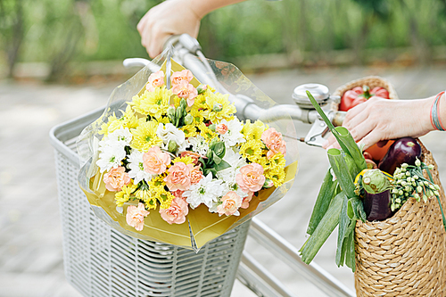 Beautiful blooming flowers in bicycle basket of woman