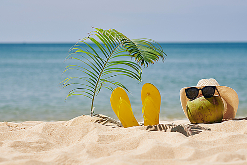Green coconut in straw hat and sunglasses and bright yellow flip-flops under palm leaf on sandy beach