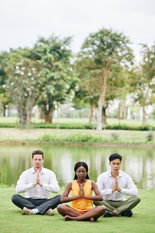 Multi-ethnic business team having group yoga session in the park