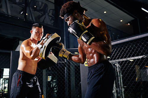 Horizontal shot of African American sportsman working on boxing punches with his Asian trainer