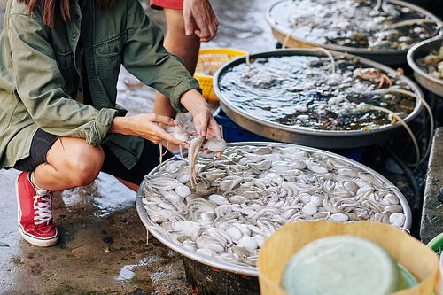 Unrecognizable young woman sitting on her hunkers choosing octopuses for dinner at fish market