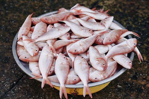 Steel tub full of pale pink fish at Asian fish market high angle horizontal shot