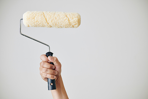 Construction worker holding fluffy roll he is using for application of paint on the wall