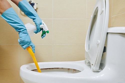 Person in blue rubber gloves cleaning toilet with brush and disinfecting spray