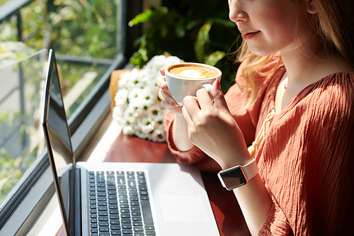 Cropped image of woman drinking cup of delicious cappuccino and reading article on laptop screen