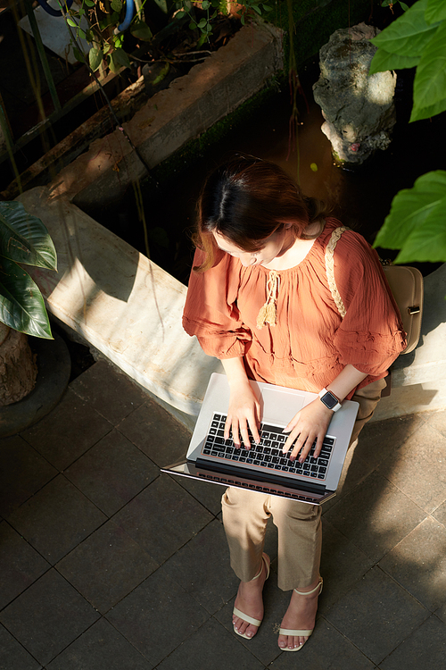 Young female software developer working on laptop, view from above