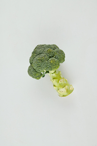 Fresh organic broccoli head on light grey background, view from above