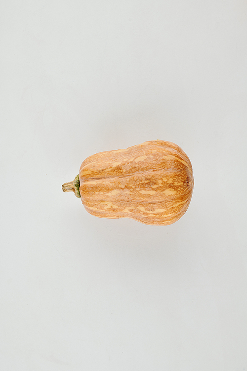 Small ripe orange honeynut squash on light grey background, view from the top