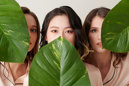 Group of serious device young women covering faces with green leaves