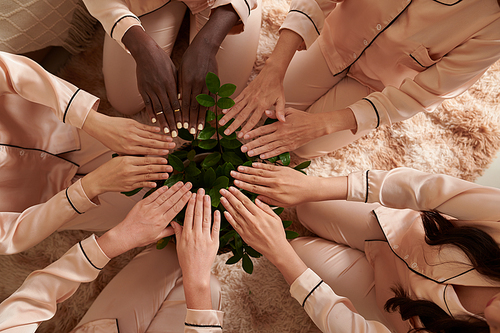 Group of young women in silk pajamas holding hands over pot with lush plant