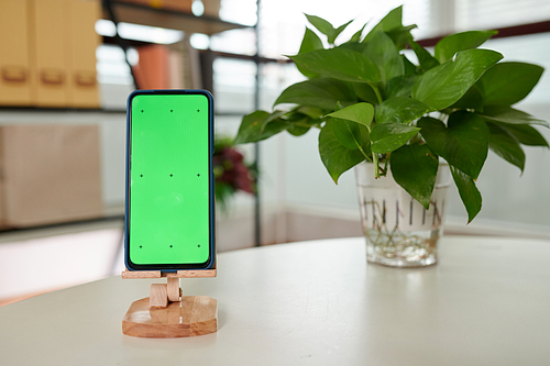 Smartphone with blank green screen standing on wooden holder on white table against bunch of leaves of domestic plant