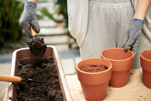 Closeup image of female gardener putting dirt in clay pots