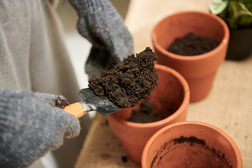 Closeup image of gardener putting fertile soil in clay pots