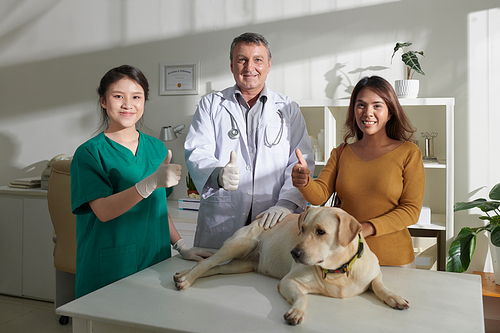 Smiling veterinarian, nurse and owner shosing thumbs-up when standing at table with recovered dog