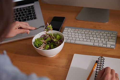 Cropped image of woman eating salad and writing in planner