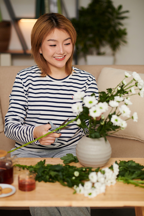 Happy young Vietnamese woman cutting white daisy flowers and putting in short vase