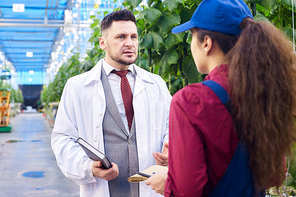 Waist up portrait of handsome agriculture scientist talking to female worker standing in greenhouse on vegetable plantation
