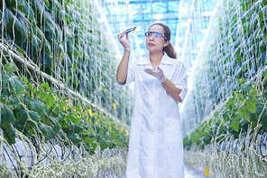 Portrait of young female scientist checking quality while studying breeding in greenhouse of agricultural plantation, copy space