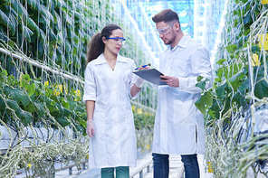 Portrait of two modern scientists studying selection of vegetables in greenhouse of agricultural plantation