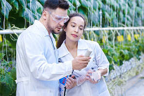 Waist up portrait of two modern scientists checking quality of production taking probes in greenhouse of agricultural farm