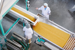 Top view portrait of two factory workers standing by conveyor belt during quality inspection at food production, copy space