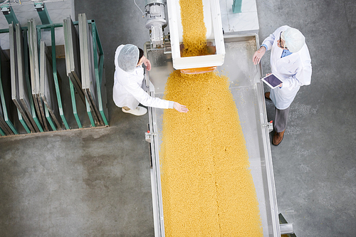 Top view background of two factory workers standing by conveyor belt during quality inspection at food production, copy space