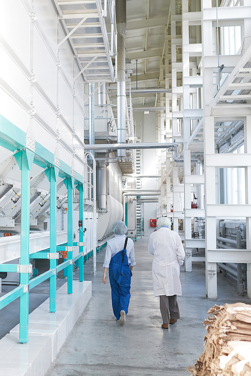 Full length back view portrait of two factory workers crossing workshop of modern plant, copy space