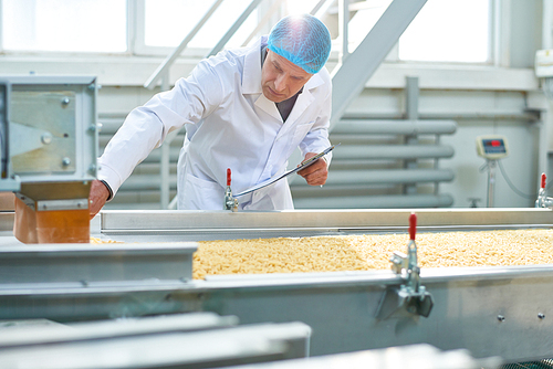 Portrait of senior factory worker checking production process in food industry, standing by conveyor belt, copy space