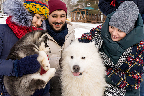 Close up of four young people cuddling with husky dogs enjoying playtime on beautiful winter day