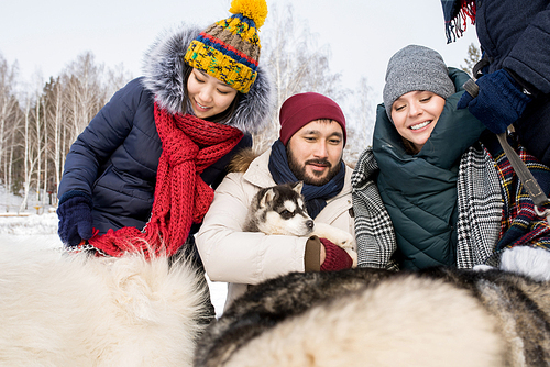 Group of young people petting husky dogs, focus on Asian man holding cute puppy and smiling happily