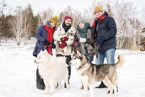 Full length portrait of two young couples posing with husky dogs enjoying beautiful winter day outdoors