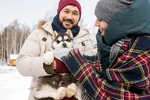 Waist up portrait of happy modern couple playing with cute Husky puppy outdoors in winter, focus on Asian man smiling at camera