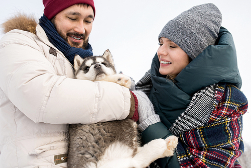 Portrait of modern young couple playing with cute husky puppy cuddling him outdoors on beautiful winter day