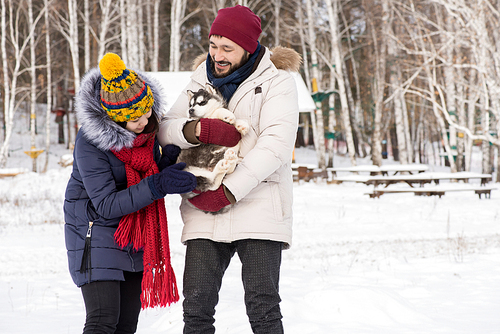 Portrait of modern young couple playing with cute husky puppy cuddling him outdoors on beautiful winter day, copy space