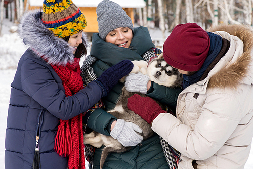 Waist up portrait of group of young people smiling happily while playing with cute Husky puppy outdoors in winter, copy space