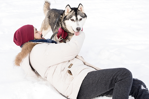 Above view of modern Asian man playing with dog outdoors fooling around and laying in snow enjoying fun walk in winter forest, copy space