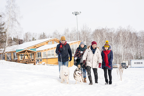 Full length portrait of two young couples enjoying time in ski resort walking dogs outdoors and smiling happily walking towards camera against winter landscape, copy space