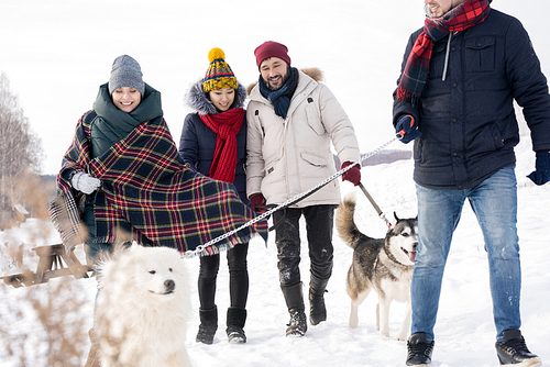 Group of young people walking two gorgeous dogs on leash while enjoying nice winter day in  woods