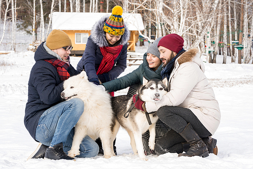 Full length portrait of four young people playing with two beautiful dogs outdoors in winter resort, copy space