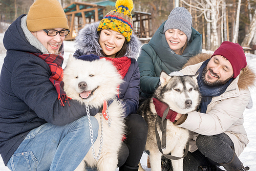 Portrait of two happy couples playing with beautiful dogs outdoors while enjoying time in winter resort