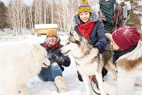 Portrait of four happy young people playing with dogs having fun in winter woods outdoors