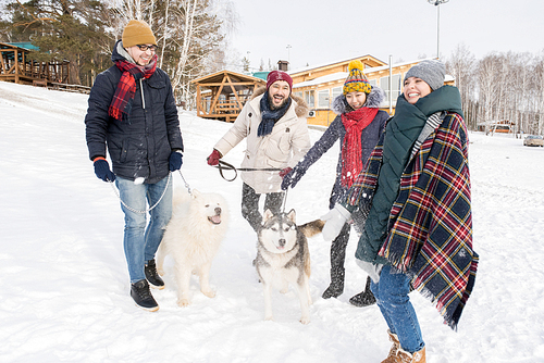 Full length portrait of two laughing young couples walking dogs while having fun outdoors in winter