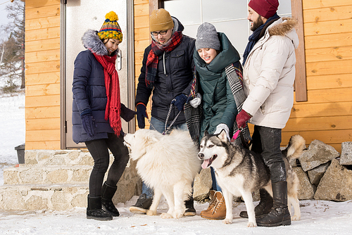 Full length portrait of four young people leaving wooden cabin with dogs while enjoying time in winter resort outdoors, copy space