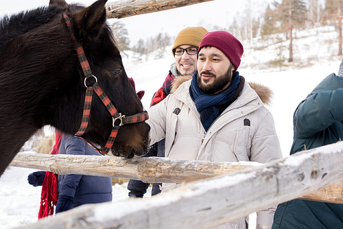 Portrait of modern young people petting horses standing by wooden fence enjoying nice winter day outdoors, copy space