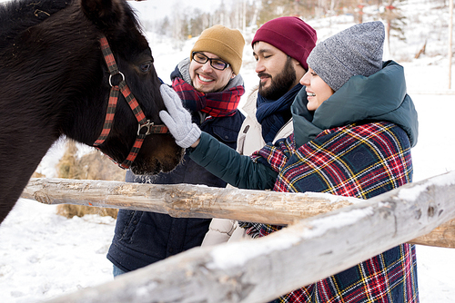 Portrait of three modern young people petting horses standing by wooden fence enjoying nice winter day outdoors, copy space