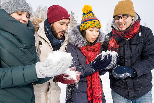 Portrait of four young friends having fun outdoors on winter day holding handfuls of snow playing snowball fight