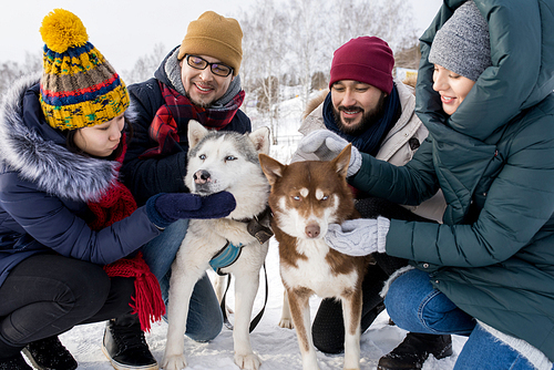 Portrait of two young couples having fun in winter outdoors playing with husky dogs and smiling happily