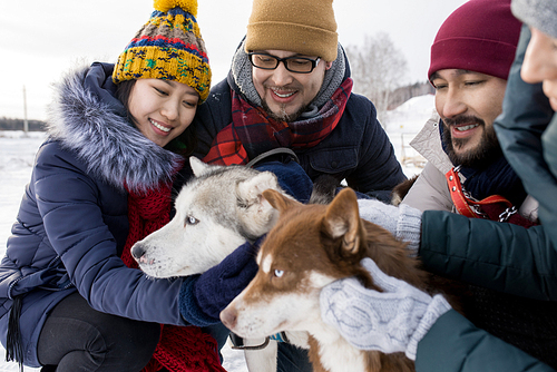 Portrait of two young couples having fun in winter outdoors playing with husky dogs and smiling happily